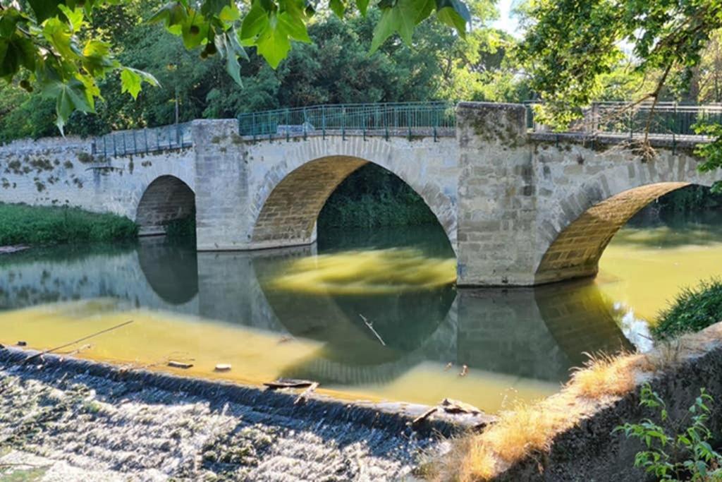 Diamond - Gite Dans Vieux Prieure Pres De Carcassonne Sainte-Eulalie  Zewnętrze zdjęcie