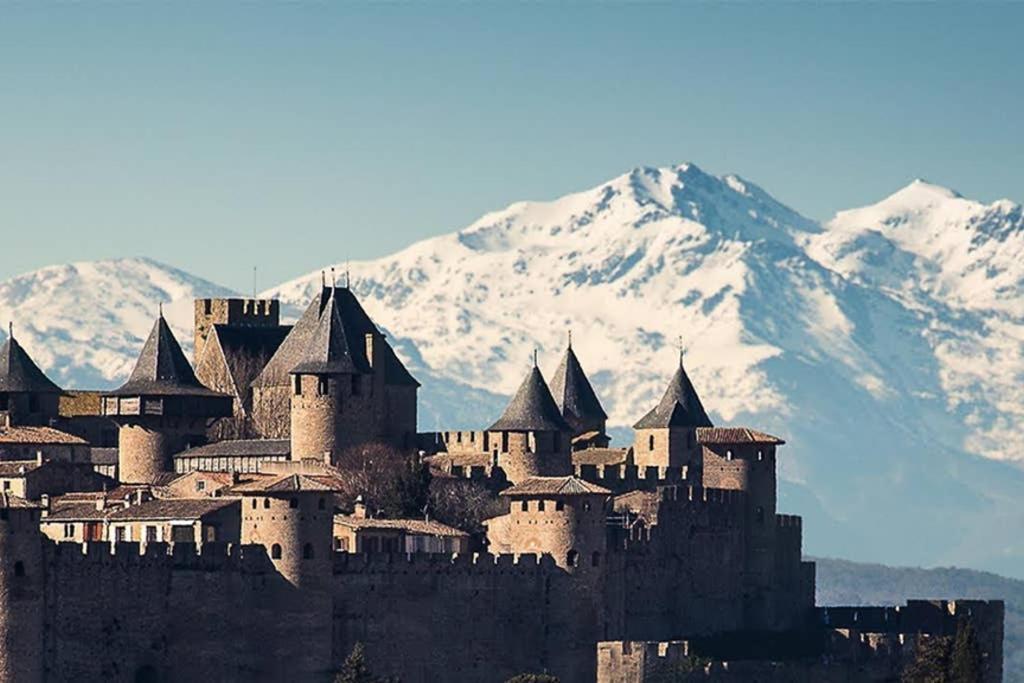 Diamond - Gite Dans Vieux Prieure Pres De Carcassonne Sainte-Eulalie  Zewnętrze zdjęcie
