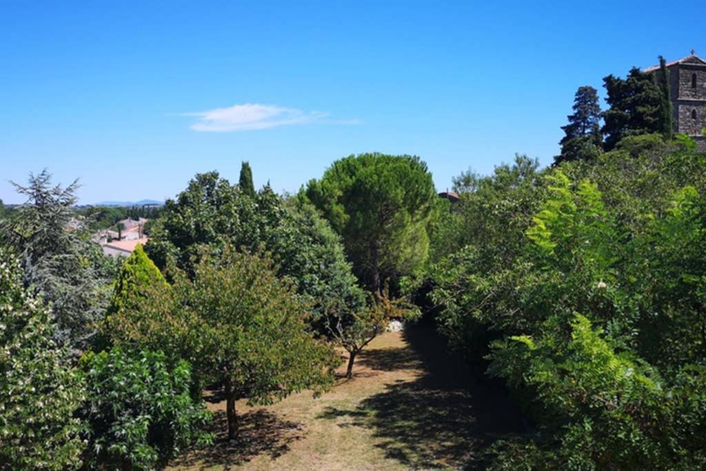 Diamond - Gite Dans Vieux Prieure Pres De Carcassonne Sainte-Eulalie  Zewnętrze zdjęcie